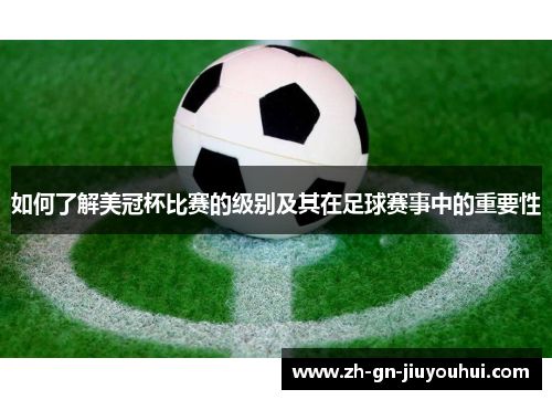 如何了解美冠杯比赛的级别及其在足球赛事中的重要性