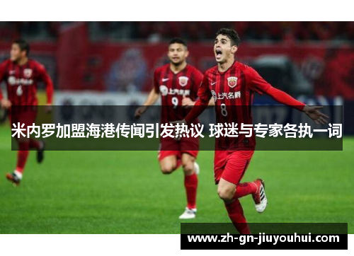米内罗加盟海港传闻引发热议 球迷与专家各执一词 米内罗加盟海港传闻引发热议 球迷与专家各执一词