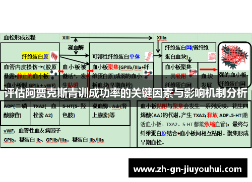 评估阿贾克斯青训成功率的关键因素与影响机制分析 评估阿贾克斯青训成功率的关键因素与影响机制分析