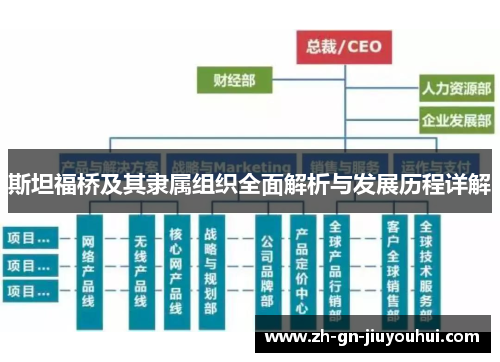 斯坦福桥及其隶属组织全面解析与发展历程详解