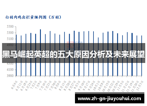 黑马崛起英超的五大原因分析及未来展望